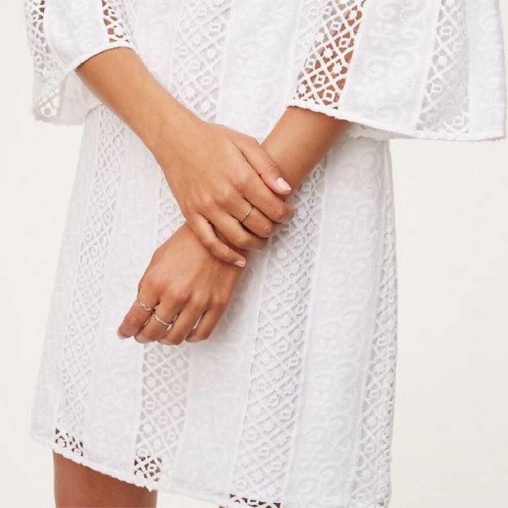 Gorgeous eyelet bell sleeve dress